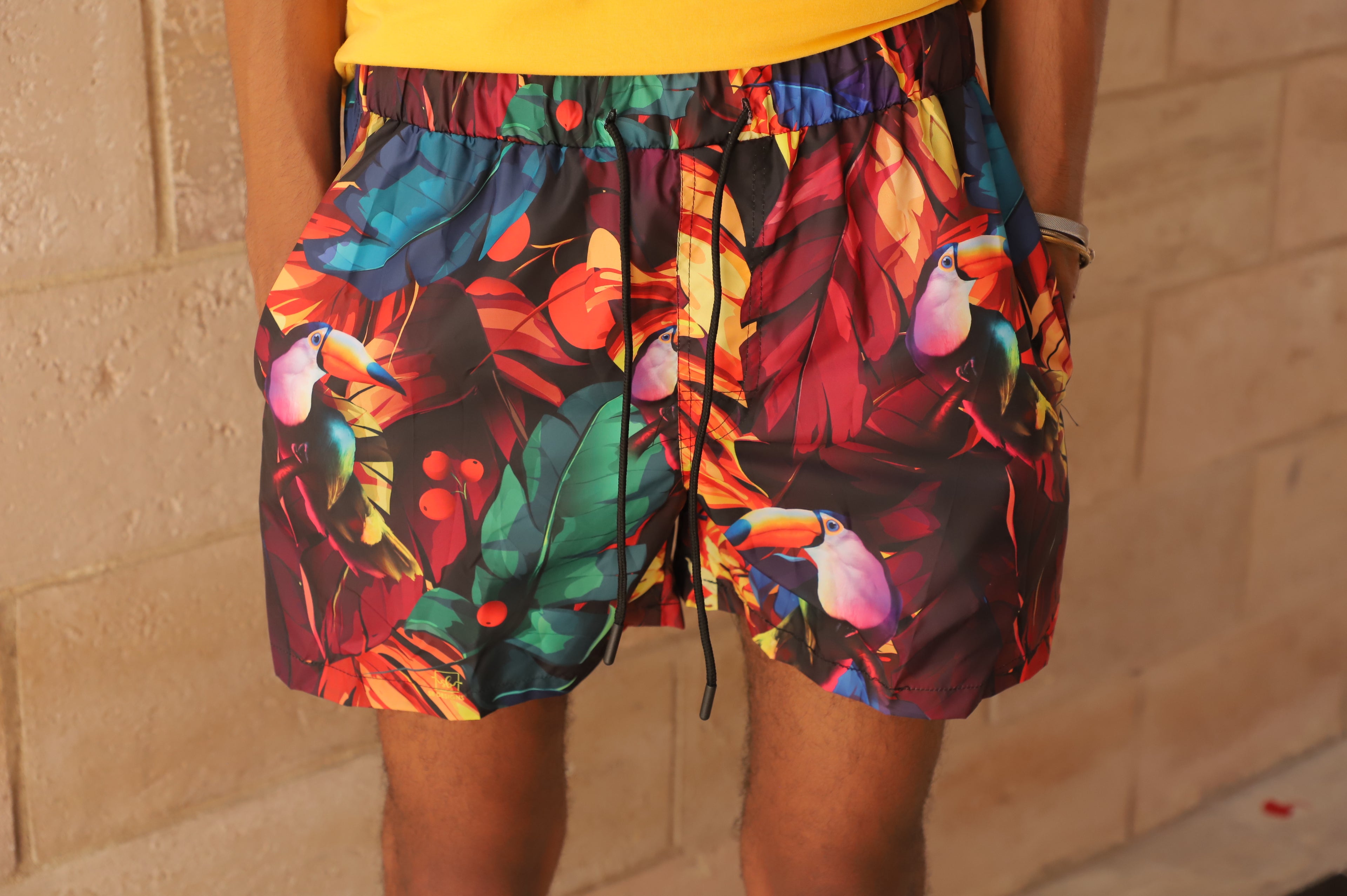 Toco Toucan Trunks