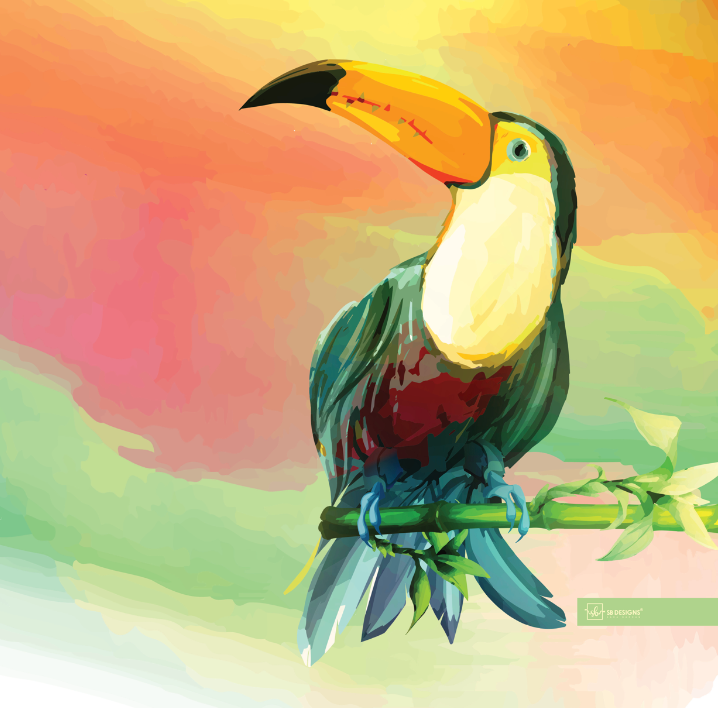 Rainbow Toucan Chiffon Scarf