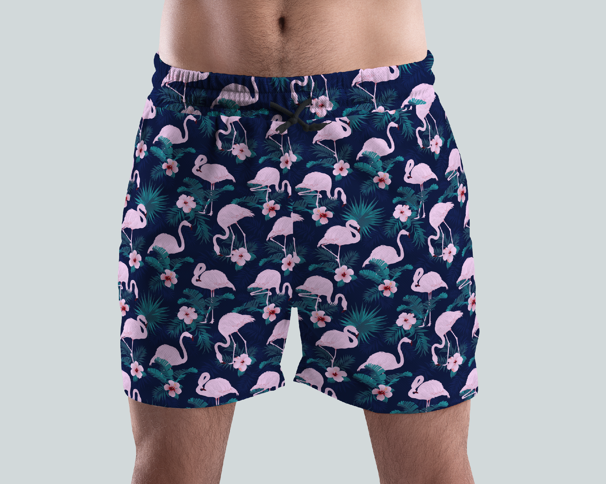 Flamingo Coast Trunks