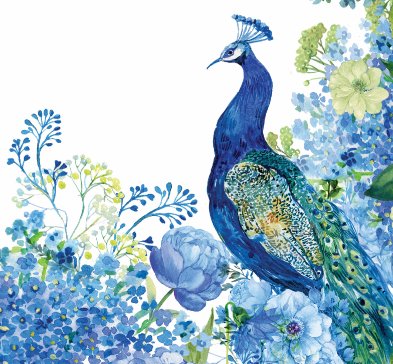 White Peacock Chiffon Scarf